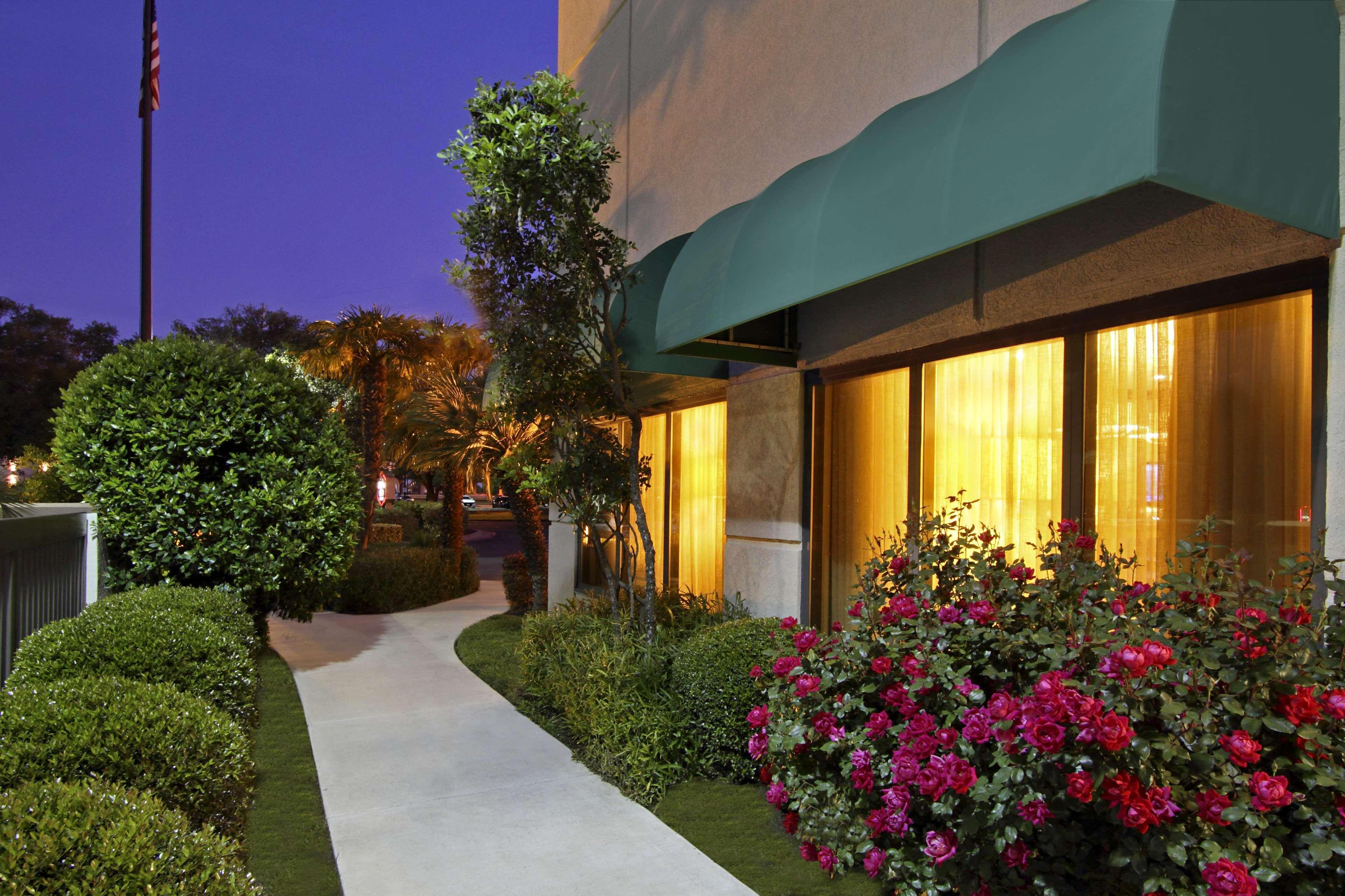 Hampton By Hilton Austin South - I-35 & Ben White Hotel Buitenkant foto