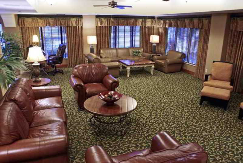 Hampton By Hilton Austin South - I-35 & Ben White Hotel Interieur foto